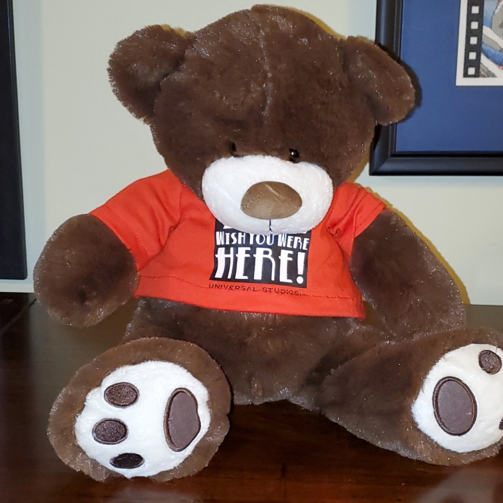 Super soft teddy bear
